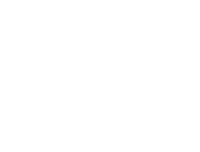 wikingbygg