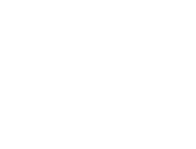 wikingbygg